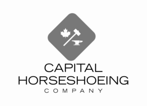 Logo Design by Wendy Elsie for this project | Design: #24902004