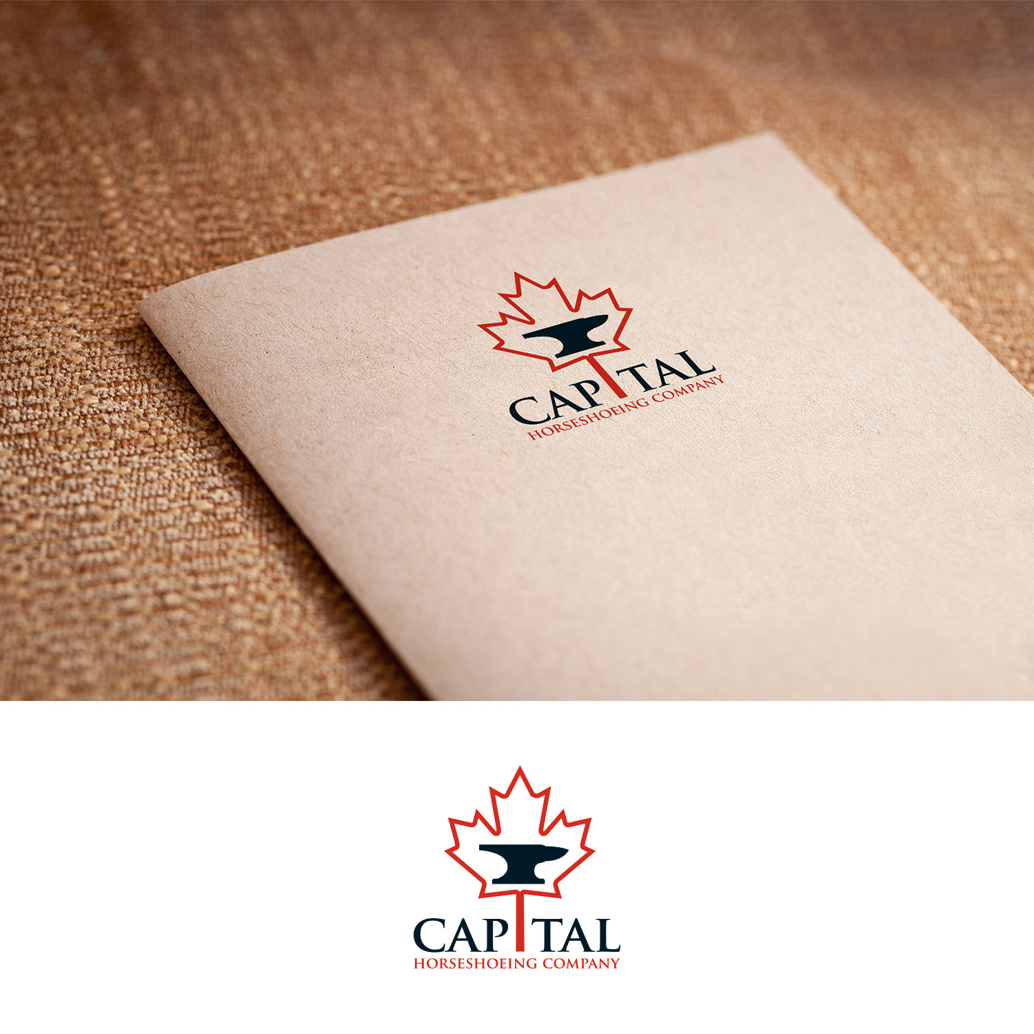 Design de Logo par DesignDUO pour ce projet | Design #24894613