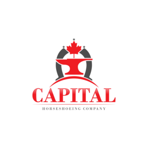 Logo Design by kaushal 05 for this project | Design #24862235