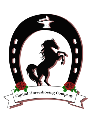 Logo Design by dizajnm for this project | Design: #24875912