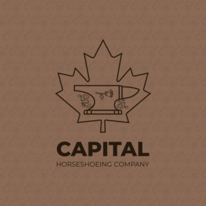 Logo Design by Bastinian for this project | Design: #24847227