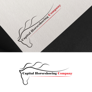 Logo Design by Ashok Agarwal for this project | Design: #24875691