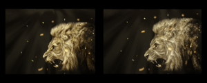 Graphic lion print design with text | Grafik-Design von el_shekoo7