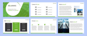PowerPoint Design by HammyHS