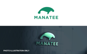 Logo Design by MT