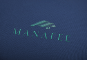 Logo Design by ahad.mifta