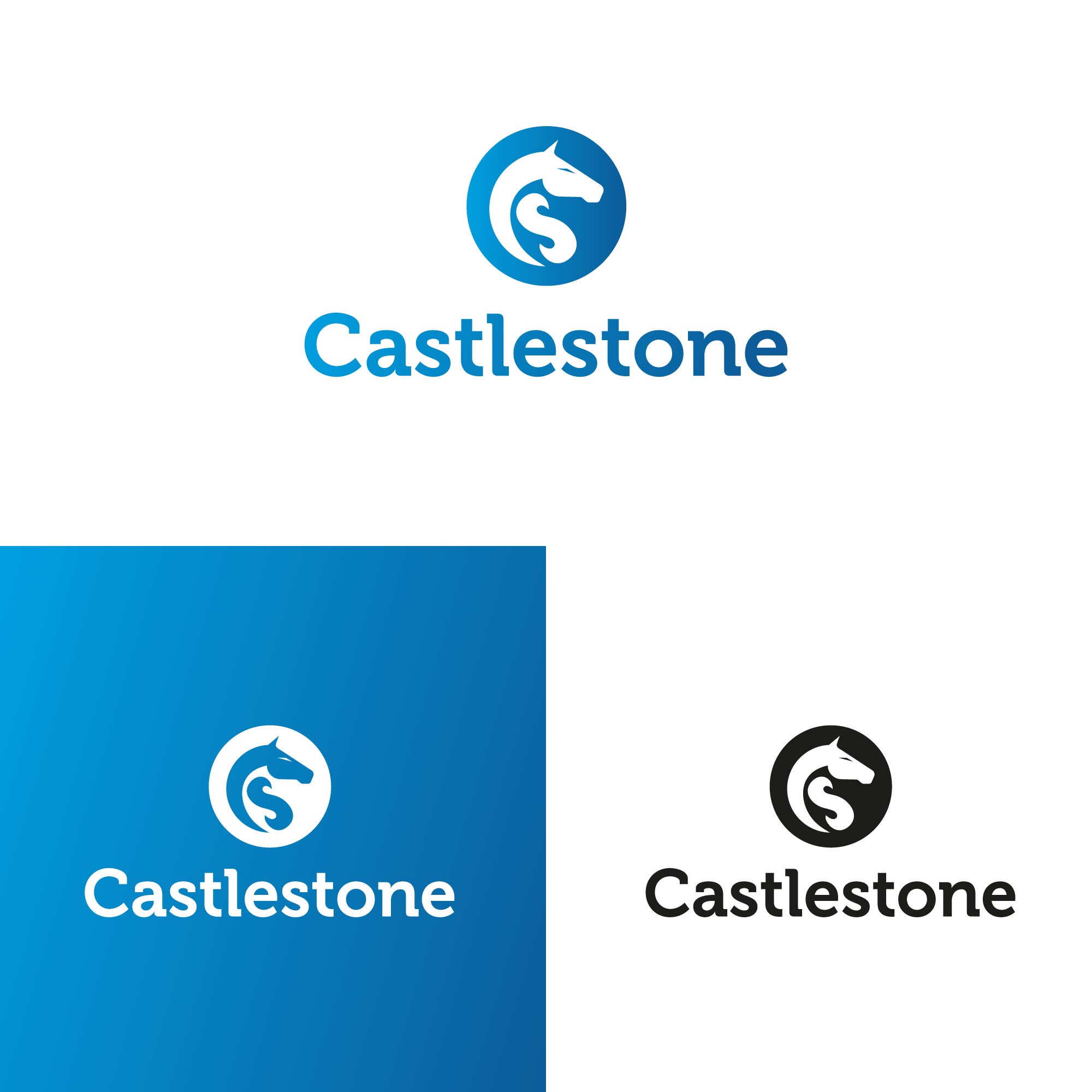 Logo Design by alitjuara for this project | Design #24909581