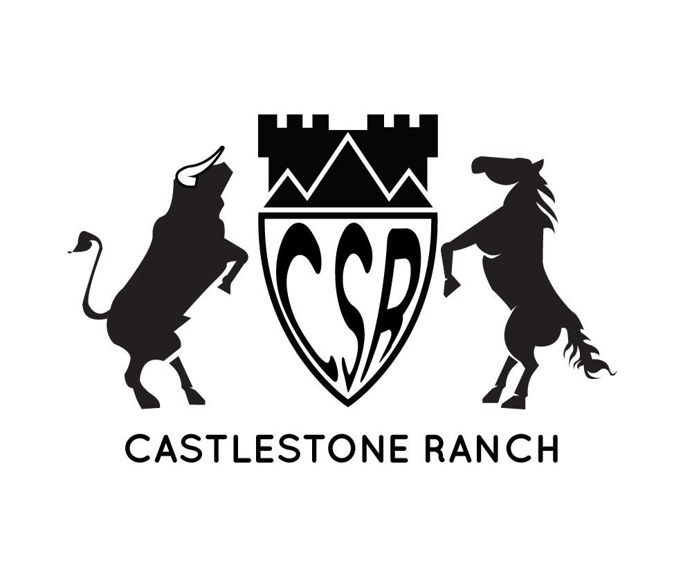 Logo Design by moseslungu.jr for this project | Design #24876800