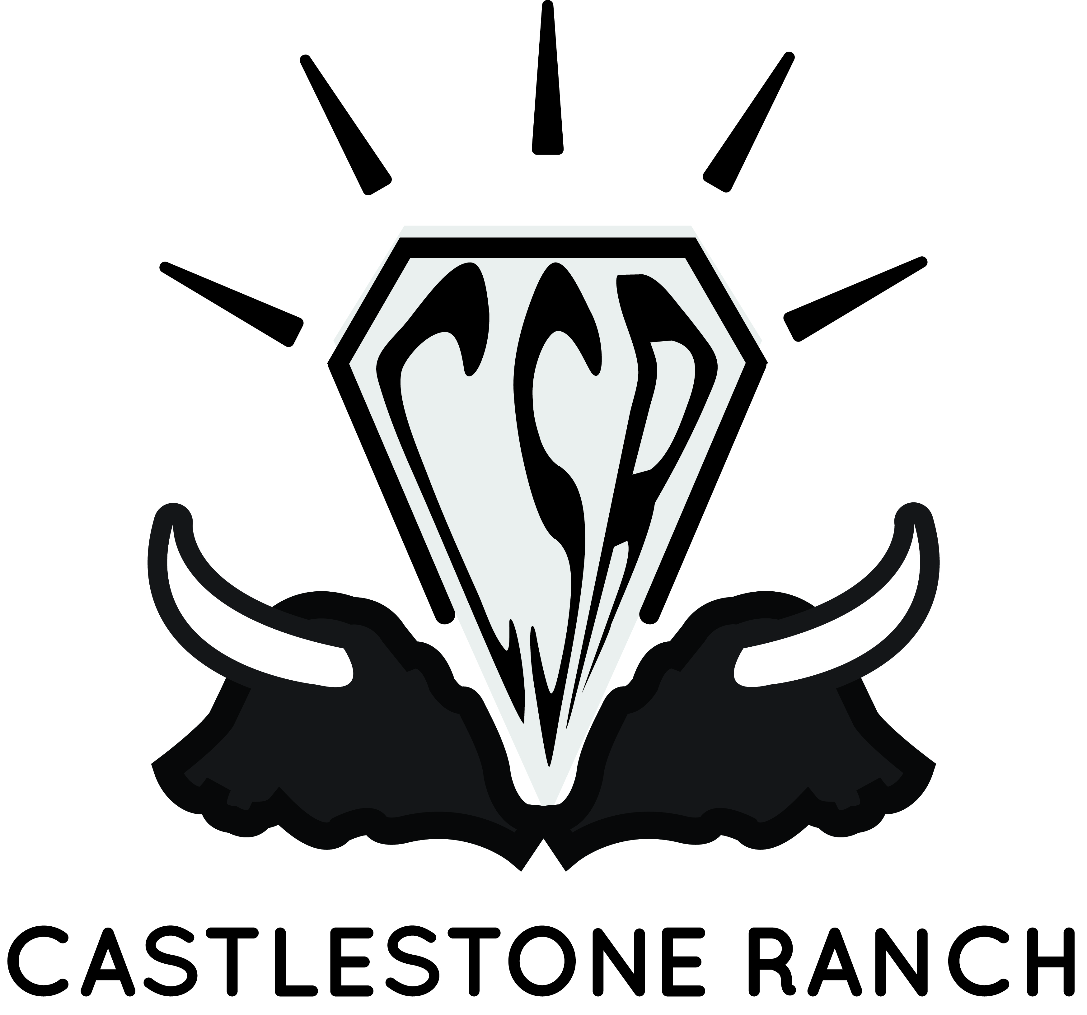 Logo Design by moseslungu.jr for this project | Design #24876801