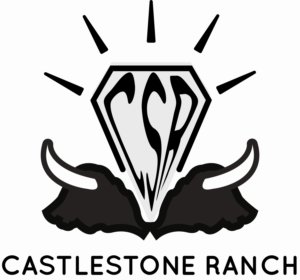 Diseño de Logo por moseslungu.jr para este proyecto | Diseño: #24876801
