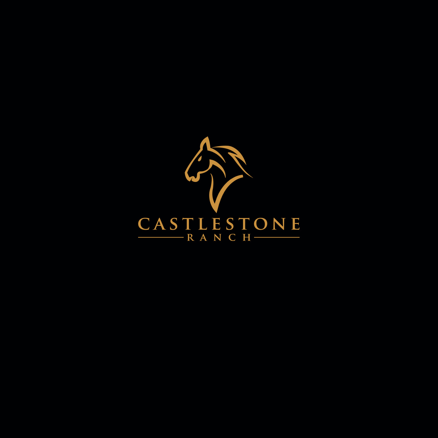 Logo-Design von DesignDUO für dieses Projekt | Design #24897722