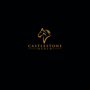 Logo Design by DesignDUO for this project | Design: #24897722