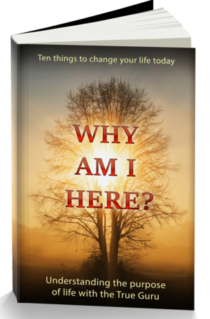 WHY AM I HERE? Understanding the purpose of life with the True Guru | Book Cover Design by alice