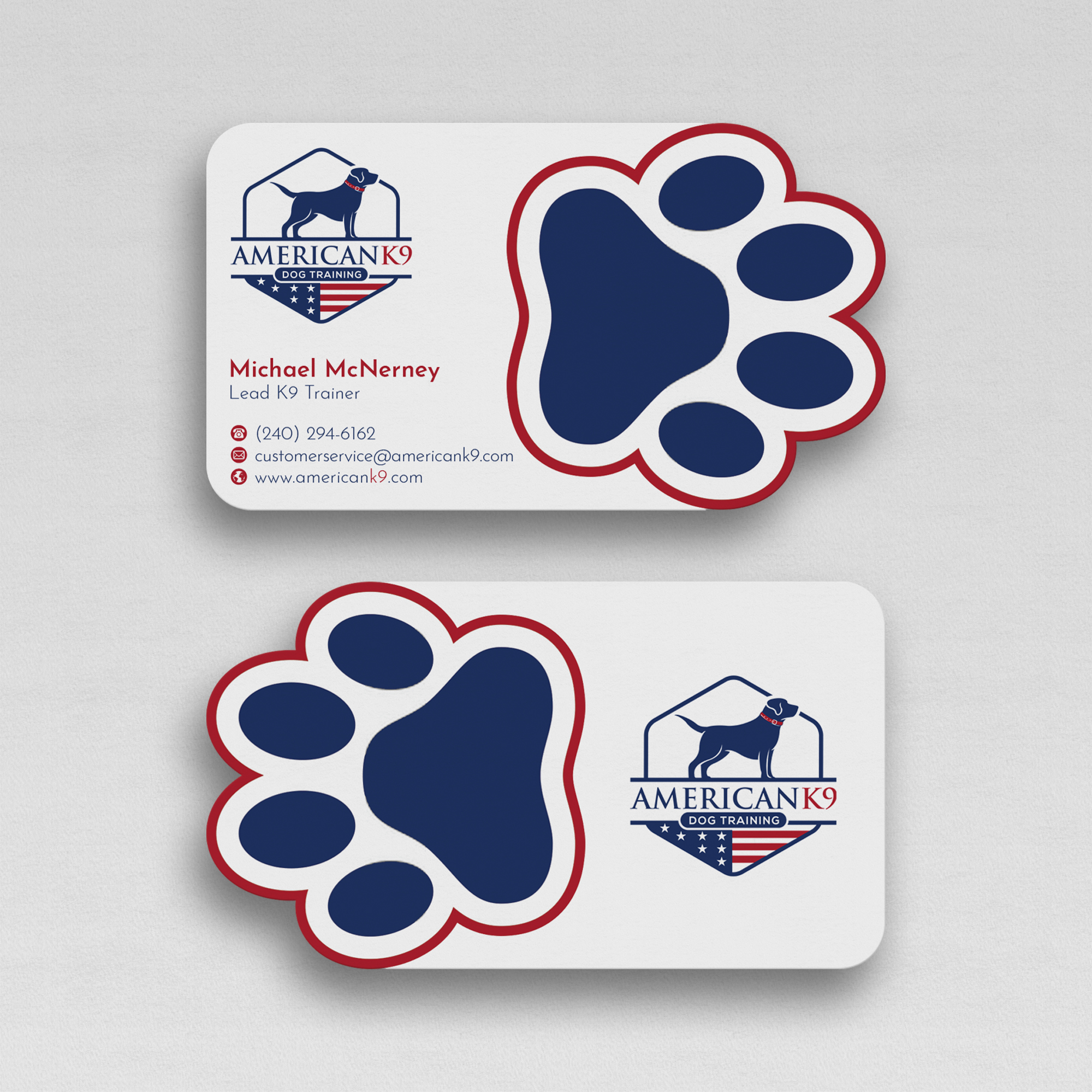 Diseño de Tarjeta de Presentación por WebixBD para este proyecto | Diseño #24876326