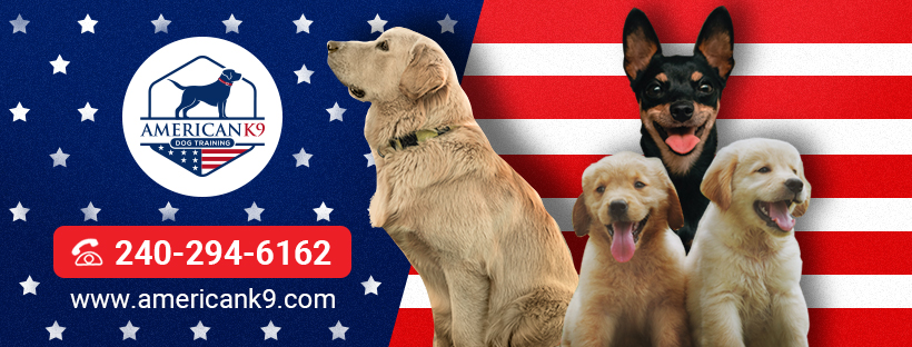 Facebook Design by nanami_w for this project | Design #24923865