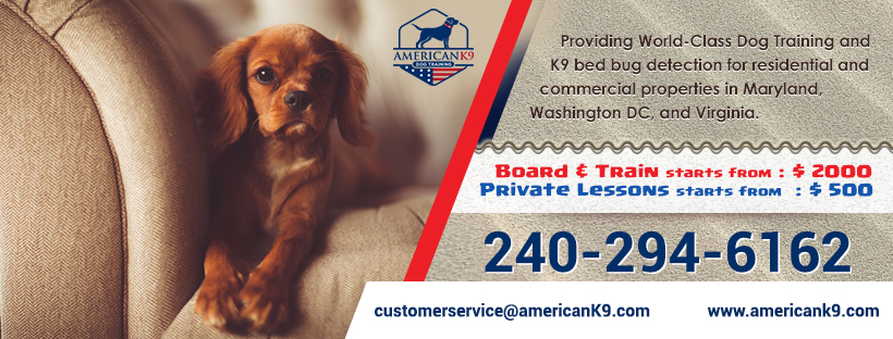 Facebook Design by Aaron V for this project | Design #24887950
