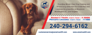 Facebook Design by Aaron V for this project | Design: #24887950