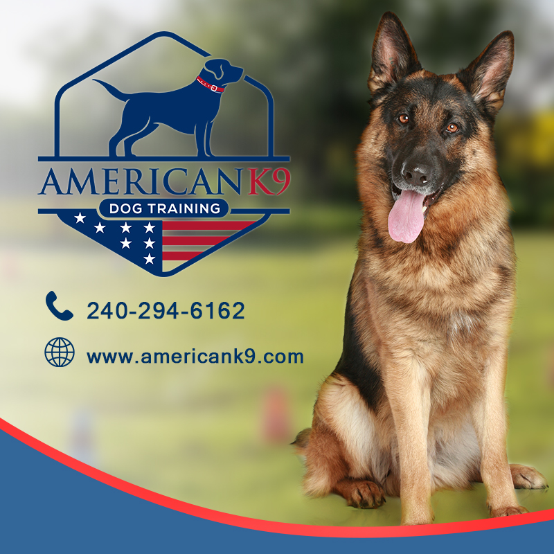 Facebook Design by Sam_Campaner for this project | Design #24904351