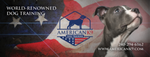 Facebook Design by Tony 81 for this project | Design: #24891890