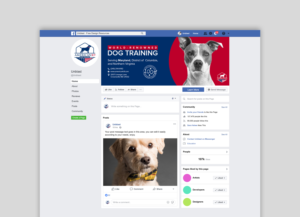Facebook Design by Hammaad Afzal