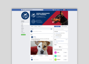 Facebook Design by Hammaad Afzal for this project | Design: #24882036
