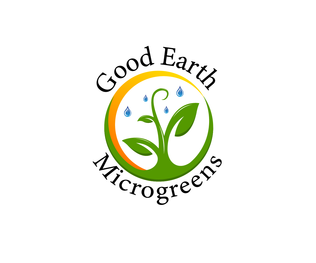Logo Design by ravznoot.digital for this project | Design #24867985