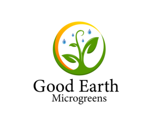 Logo Design by ravznoot.digital