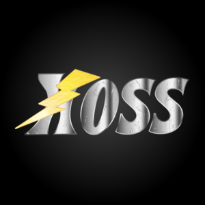 Logo Design by a.v.creation