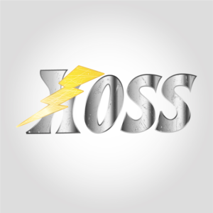 Logo Design by a.v.creation for HOSS | Design: #24878728