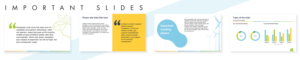 PowerPoint Design by Farmaan for this project | Design: #24920872