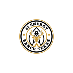 Logo Design by ddnsycrowd