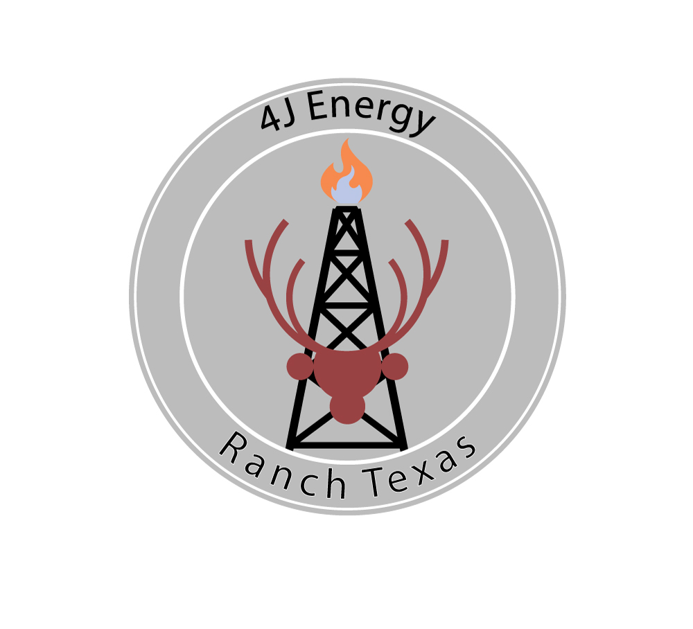Logo Design by Animesh haldar for this project | Design #24889988