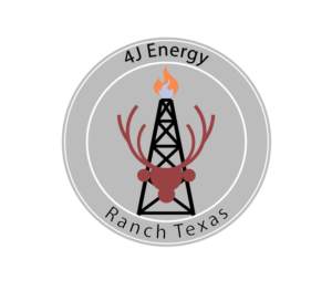Logo Design by Animesh haldar