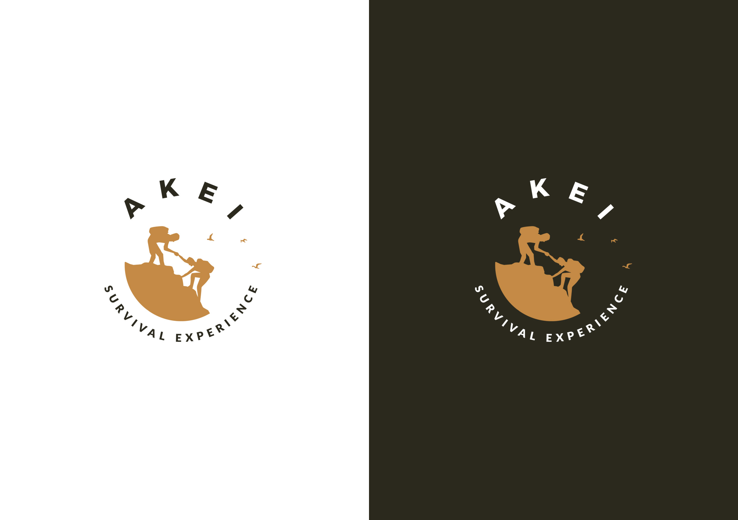 Logo Design by christianpoetoe for this project | Design #24892666