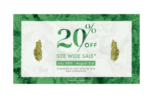 Banner Ad Design by Hammaad Afzal