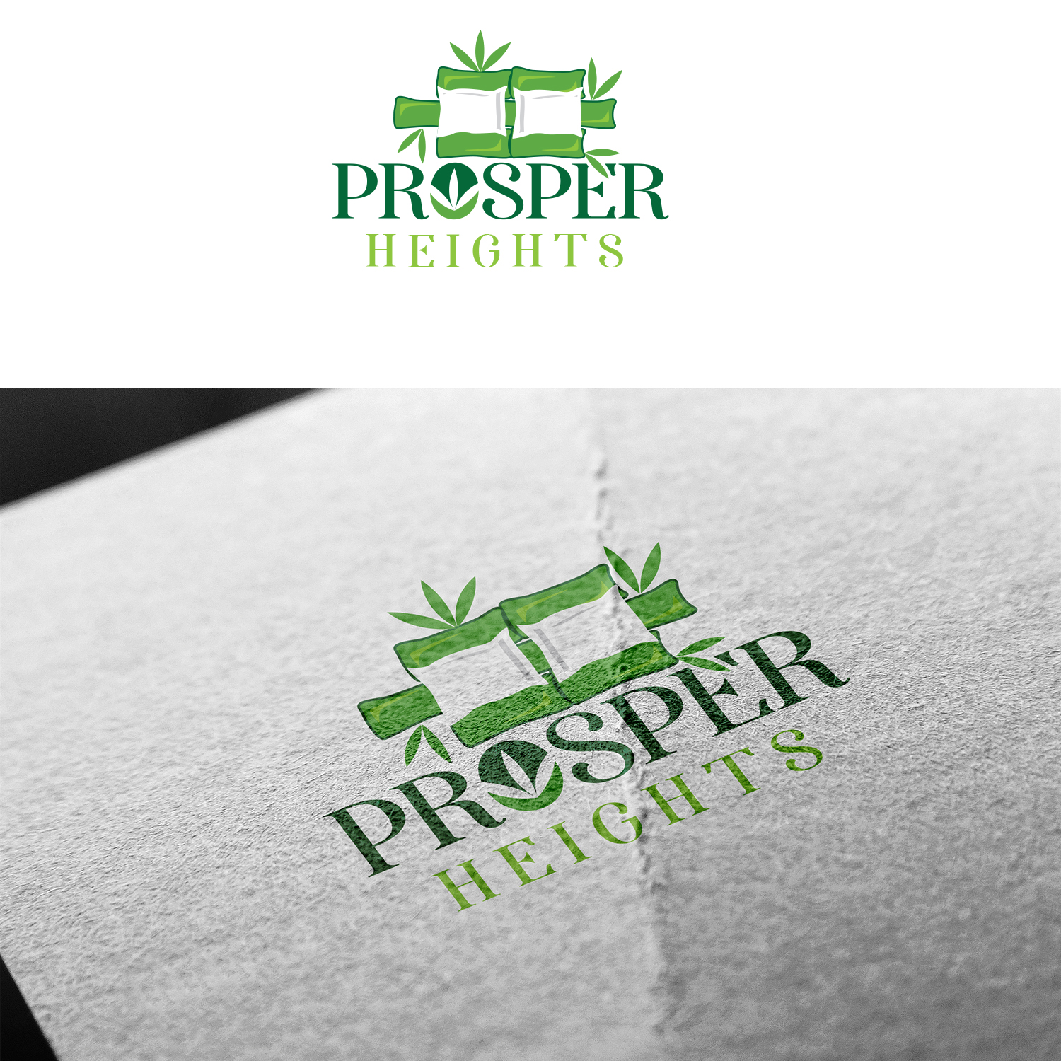 Logo-Design von Maxo-Biz für dieses Projekt | Design #24922645