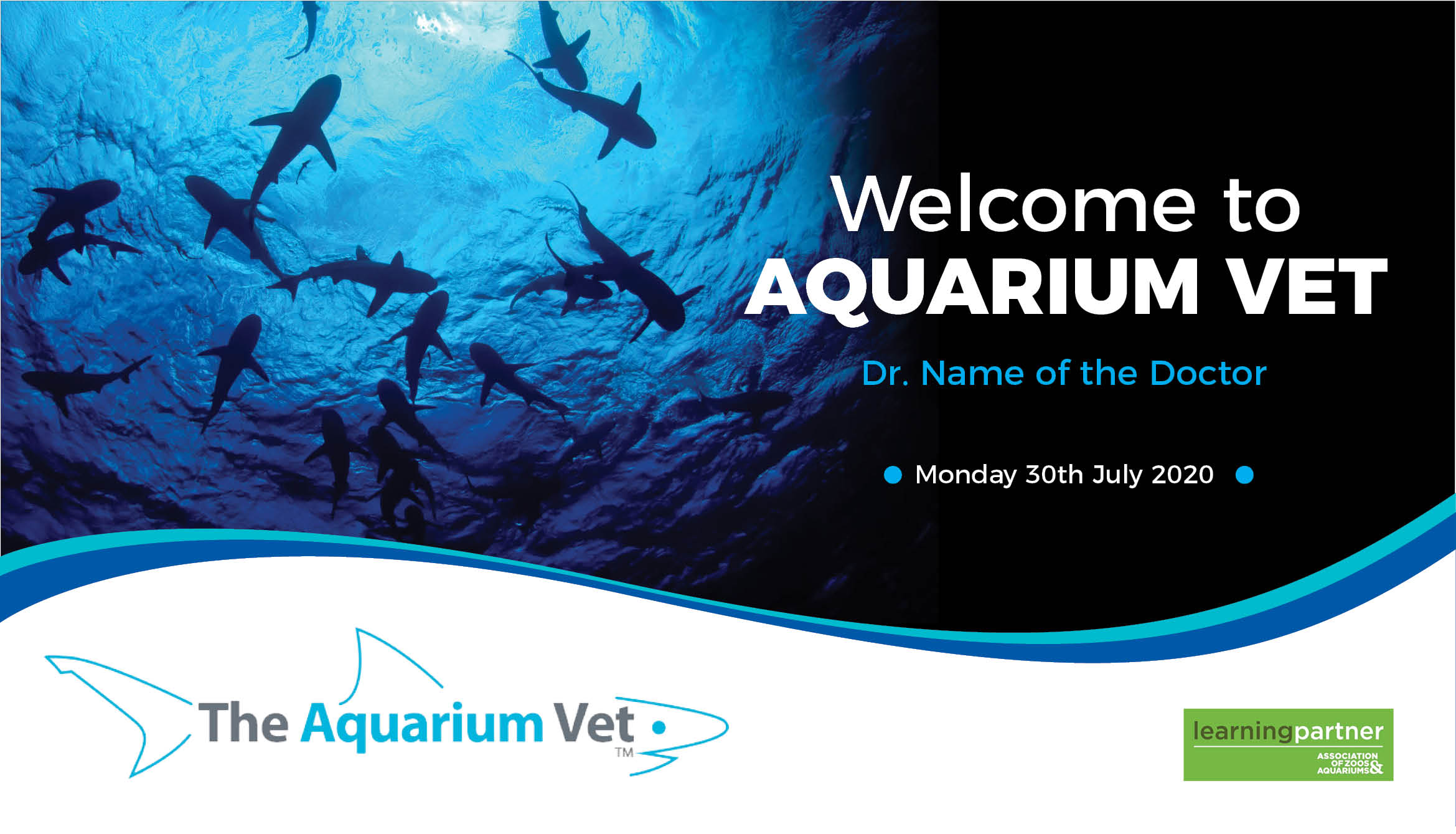 Design de PowerPoint par rkailas pour ce projet | Design #24925062