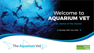 PowerPoint Design by rkailas for this project | Design: #24925062