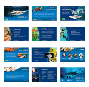 PowerPoint Design by rkailas for this project | Design: #24945633