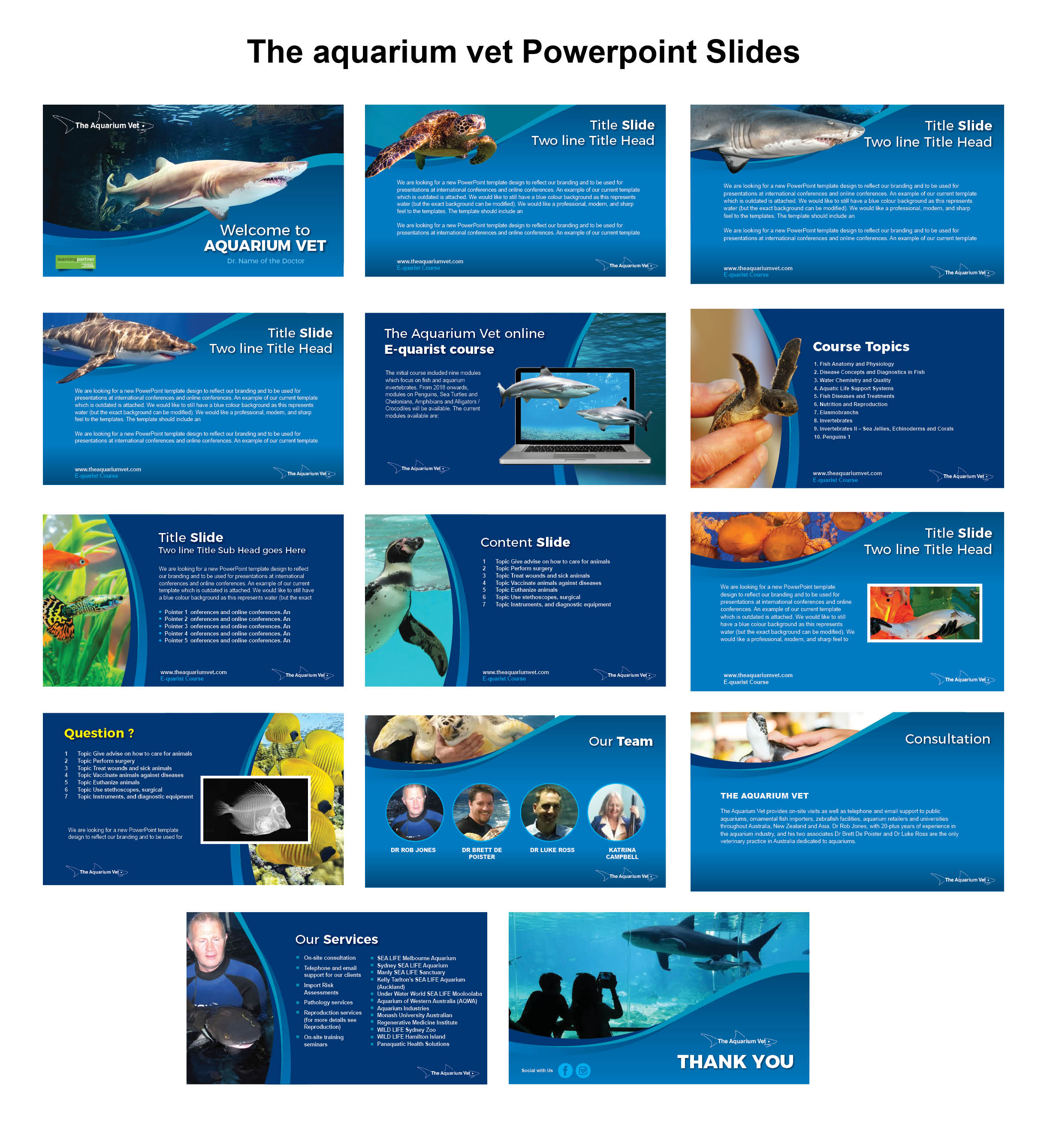 PowerPoint Design by rkailas for this project | Design #25036376