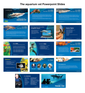 PowerPoint Design by rkailas for this project | Design: #25036376