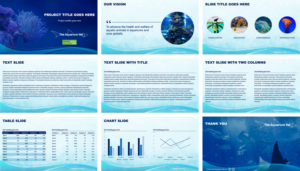 PowerPoint Design by sachiesilva