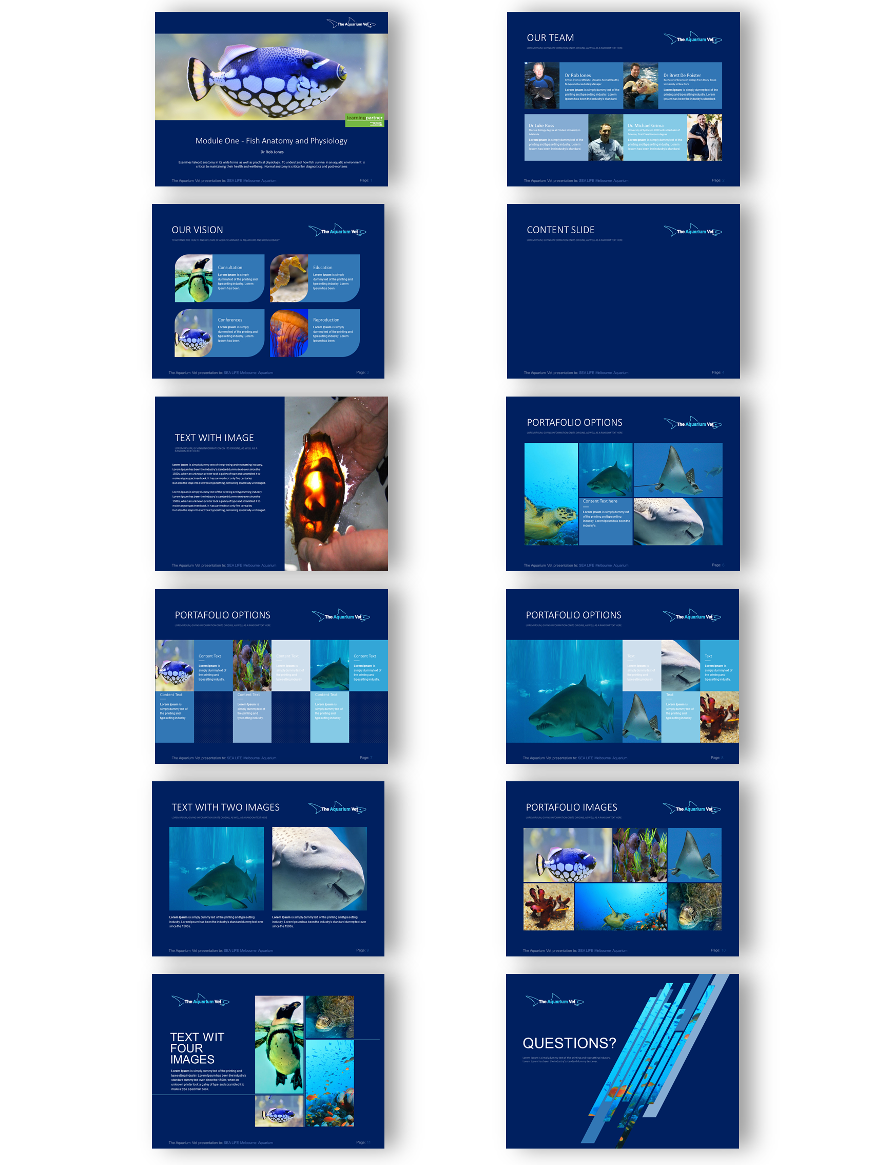 PowerPoint Design by joseborgesbarboza 2 for this project | Design #24928270