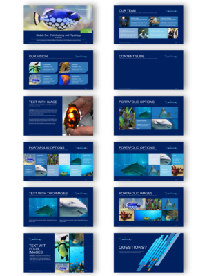 PowerPoint Design by joseborgesbarboza 2 for this project | Design: #24928271