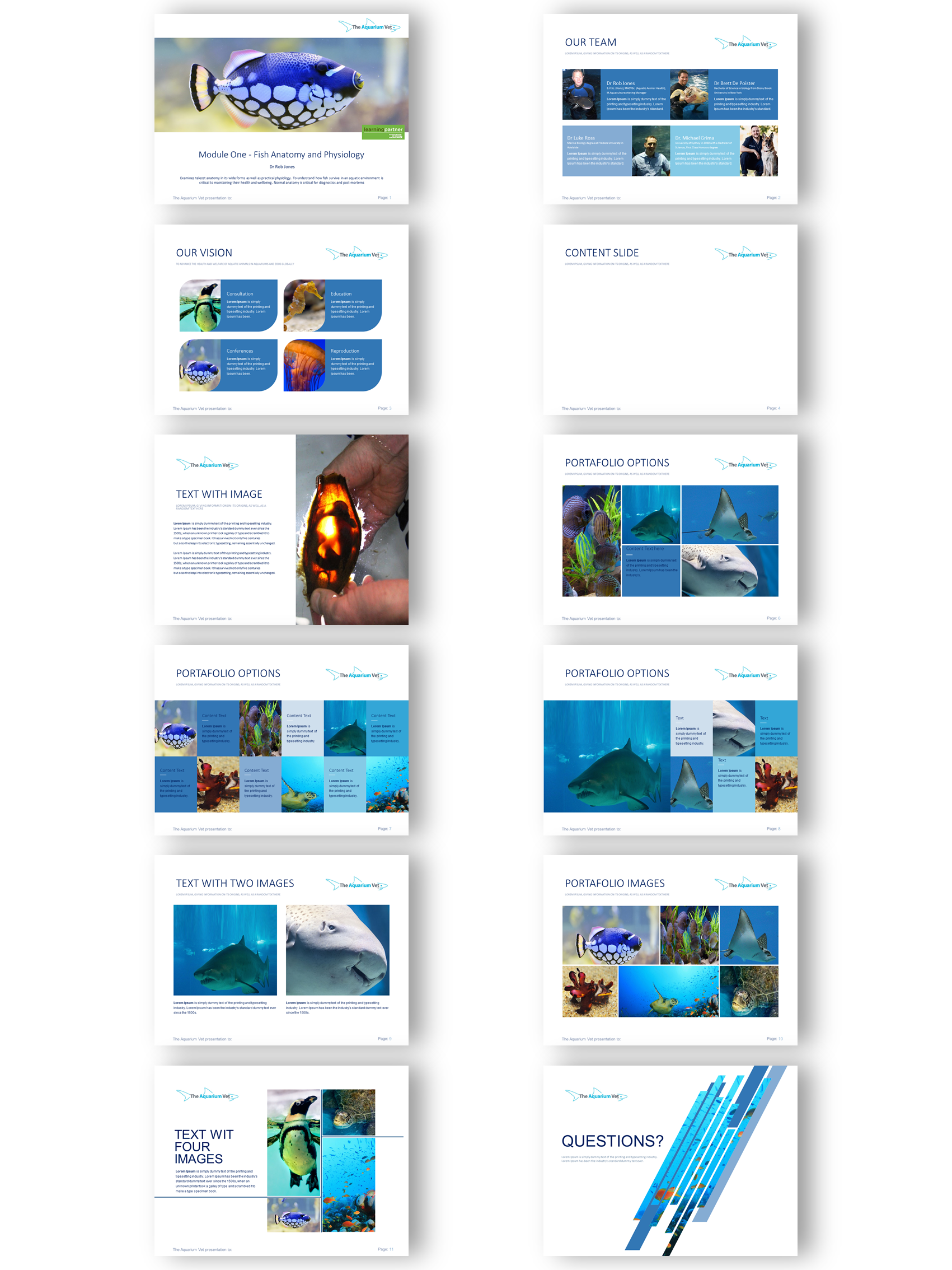 PowerPoint Design by joseborgesbarboza 2 for this project | Design #24928299