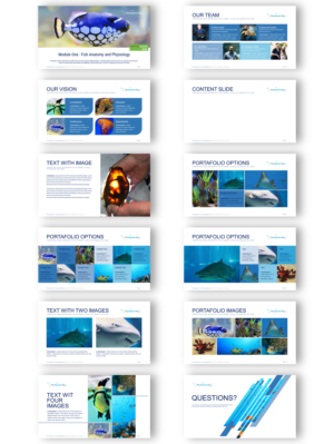 The Aquarium Vet PowerPoint Design | Diseño de PowerPoint por joseborgesbarboza 2