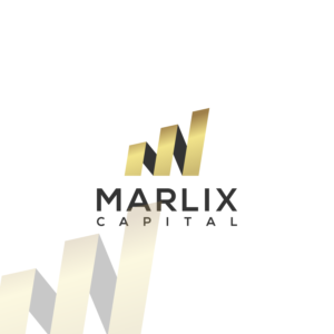 Logo Design by vanion282 for this project | Design #24934134