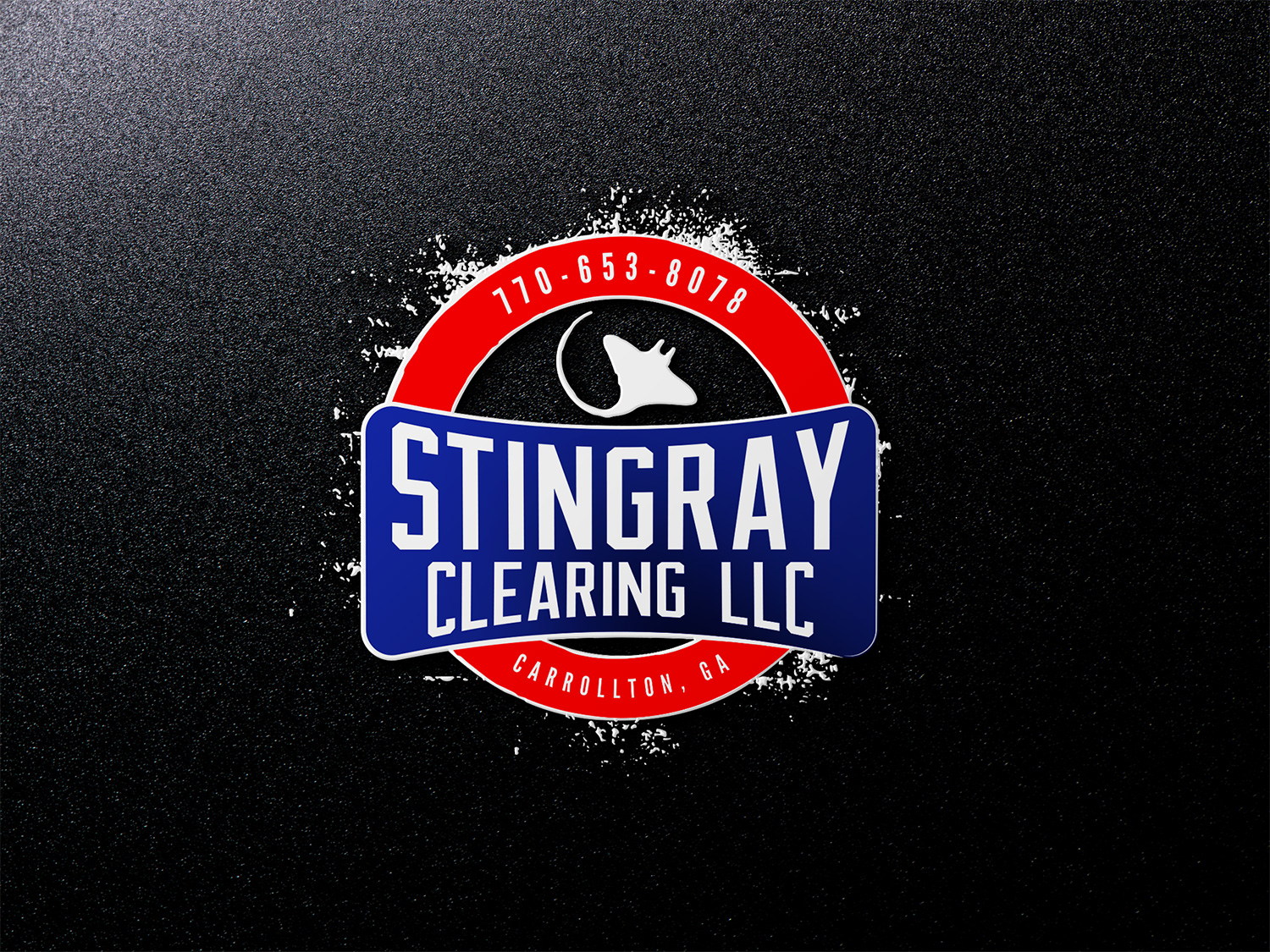Logo Design by ACK Design for Stingray Clearing LLC. | Design #24939999