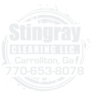 Logo Design by geni for Stingray Clearing LLC. | Design: #24953295