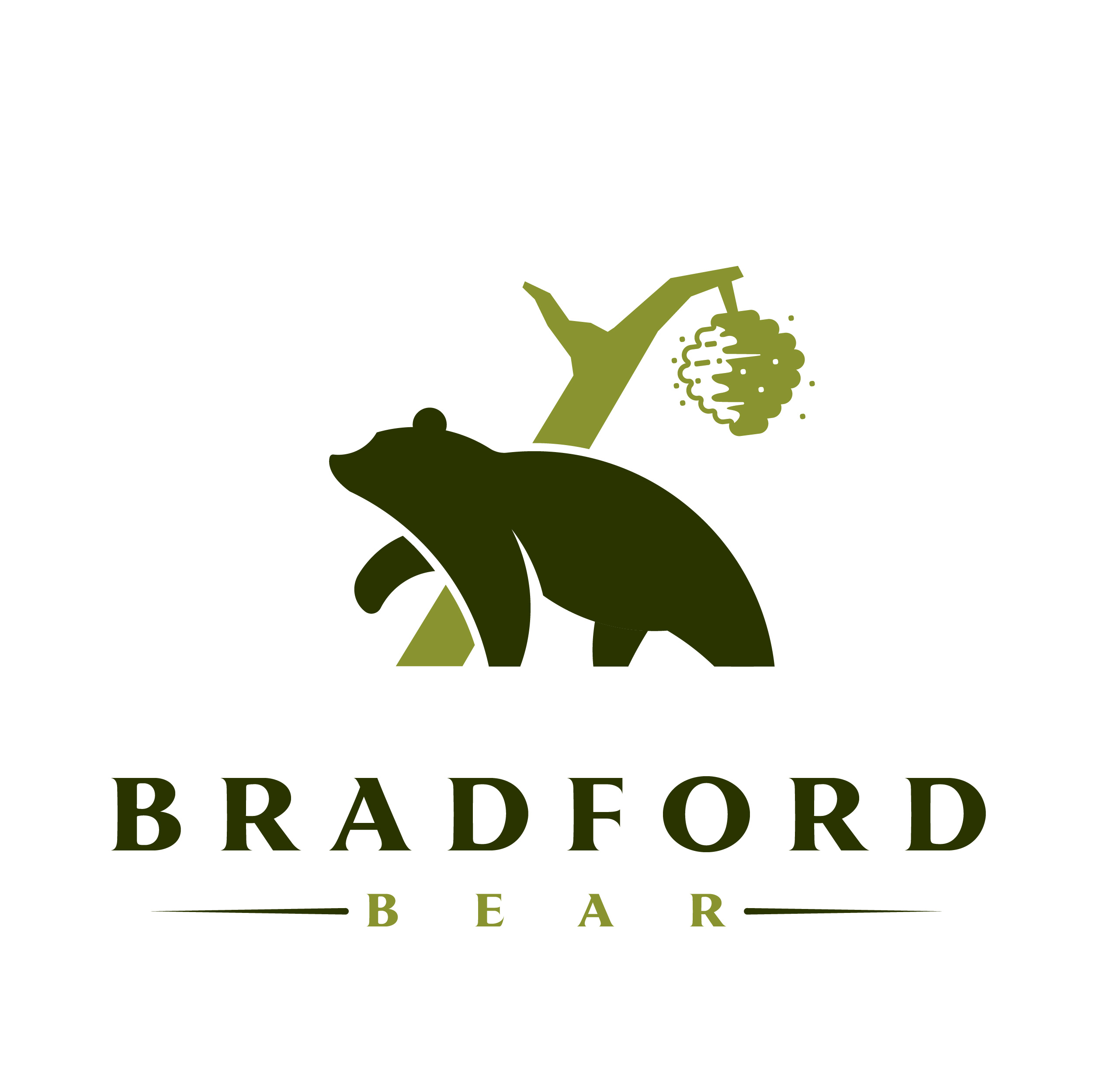 Logo Design by Combet for Bradford Bear LLC | Design #24970942